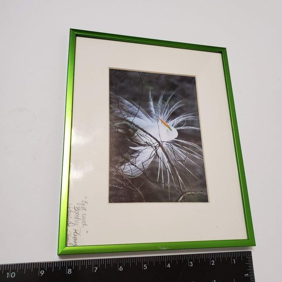 Framed Egret Photograph Print, signed Paulette Thomas, Matted, Bird Art - Picture 7 of 7